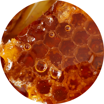Cire d’abeille