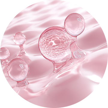 Collagène hydrolysé